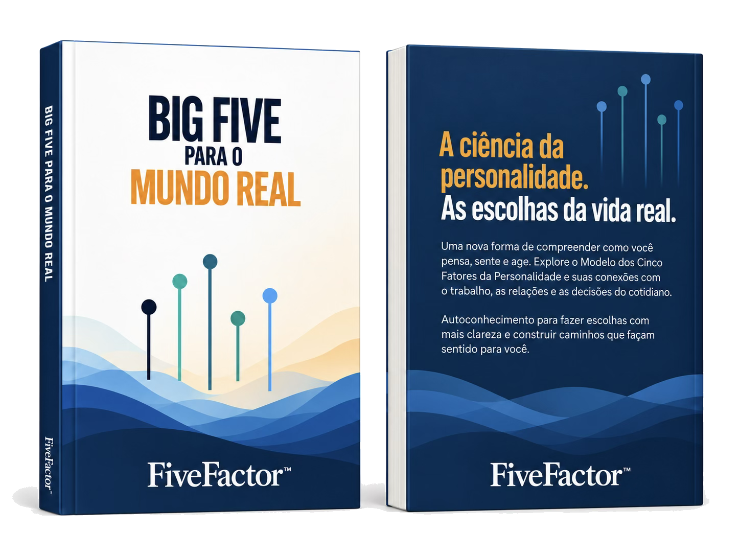 Big Five para o Mundo Real