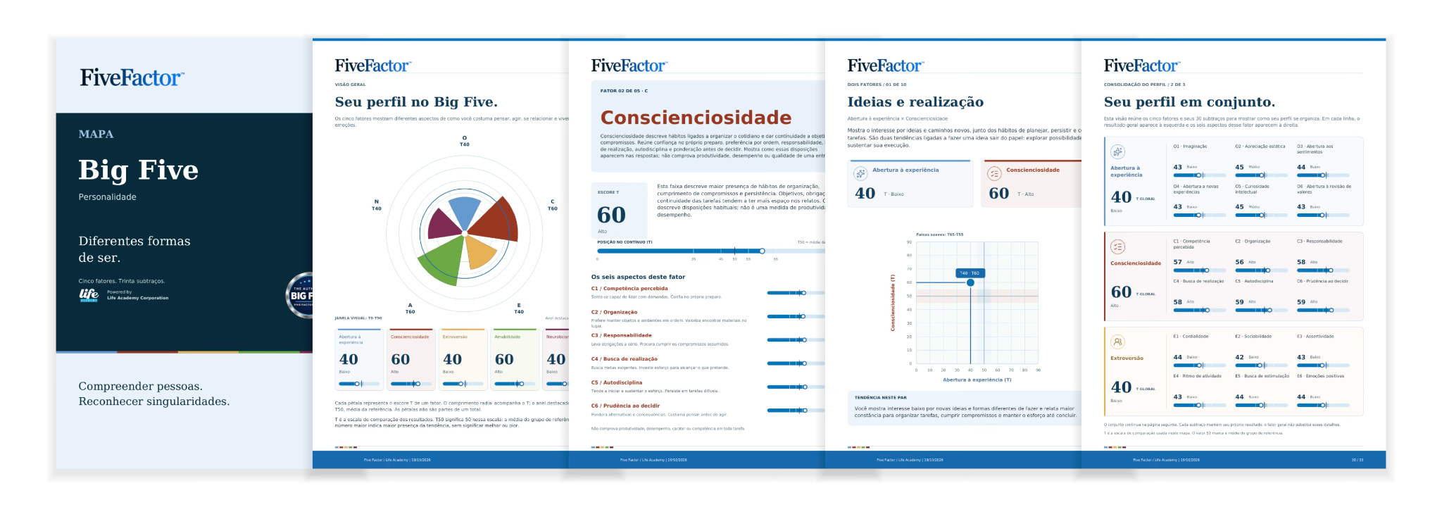 Seleção de páginas do relatório — Big Five