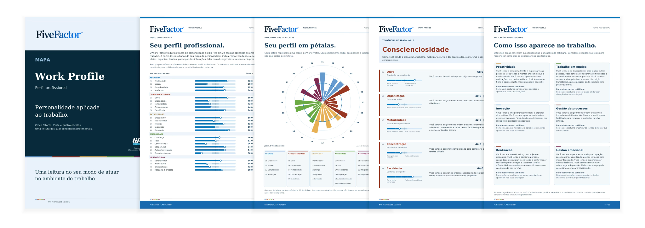 Seleção de páginas do relatório — Work Profile