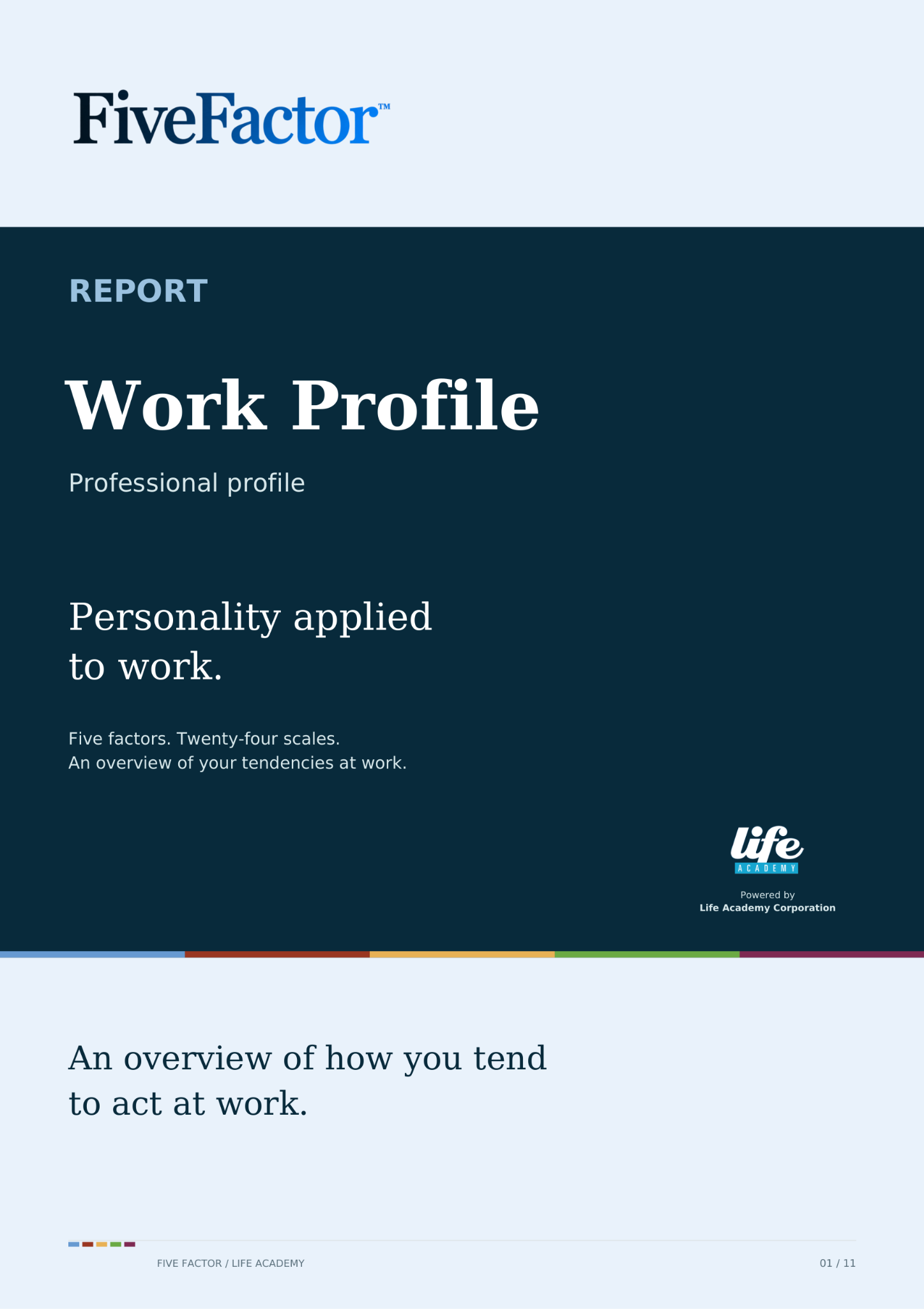 Cover — Work Profile — Professional Profile